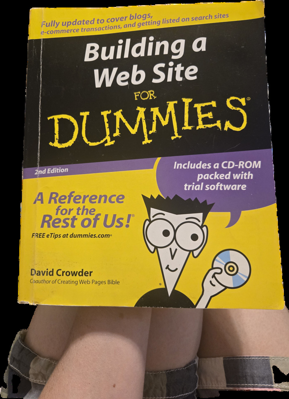 BUILDING A WEB SITE FOR DUMMIES 2nd Edition Tech How To Book